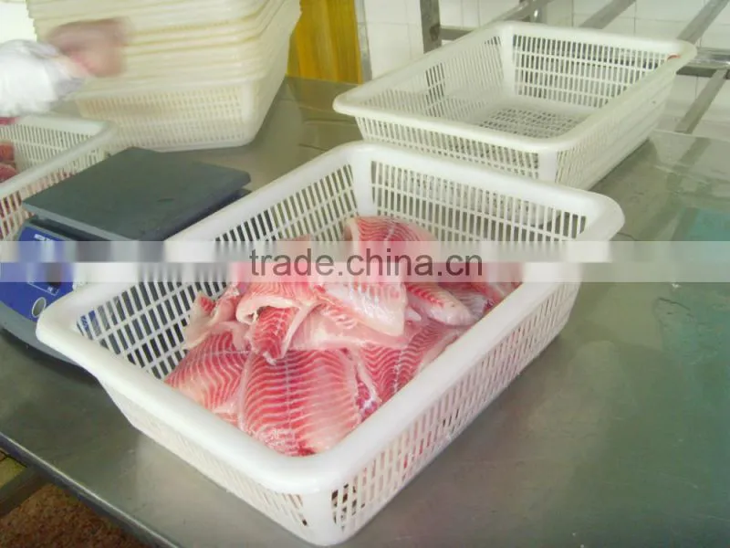 Best sale frozen fish tilapia fish fillet IQF