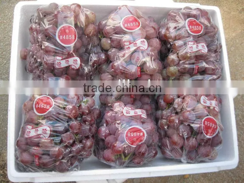 First grade red grapes