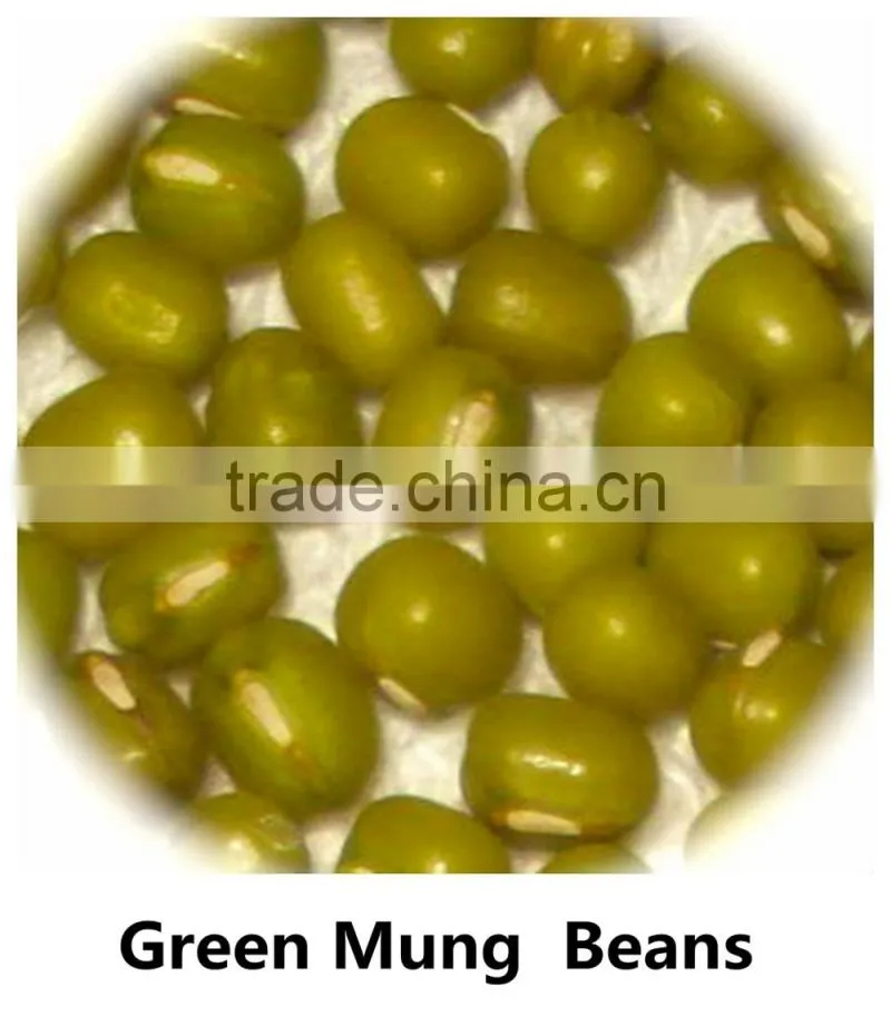 JSX cooking British red kidney bean round shape food grade red kidney bean