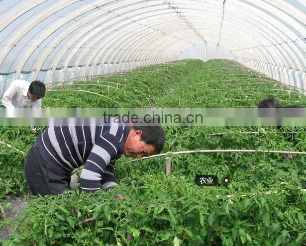 HAY Organic Fertilizers Plant Source Compound Amino Acid
