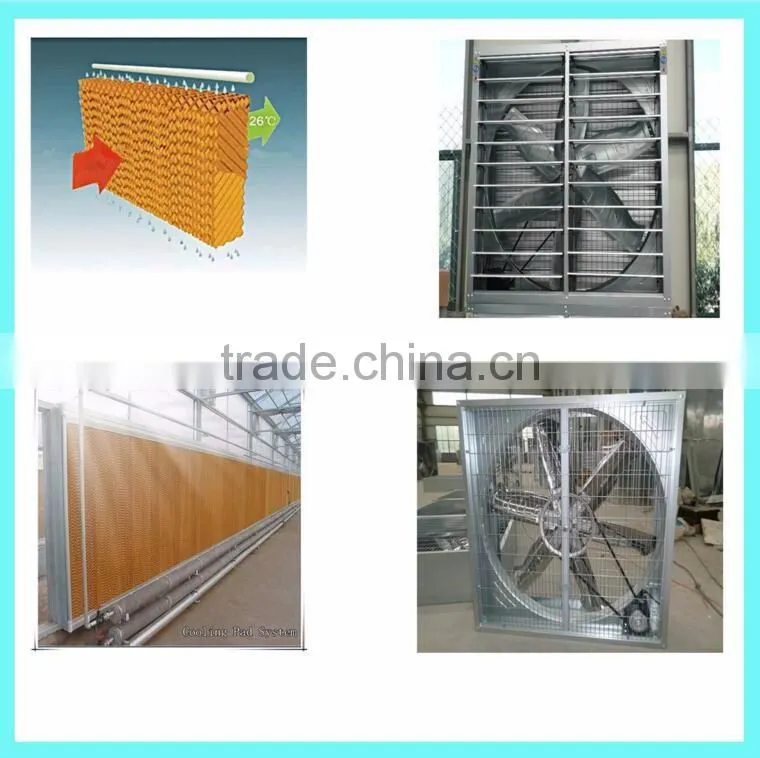 broiler chicken cage for sale