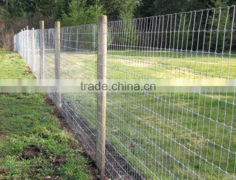 Galvanized steel deer fence, deer farm fencing, deer fencing sale (ISO 9001)