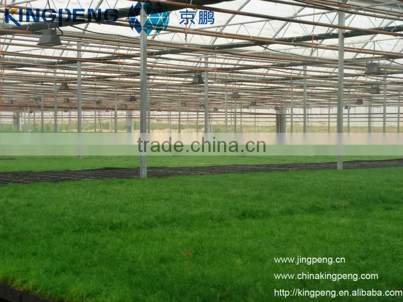 plastic cover for greenhouse