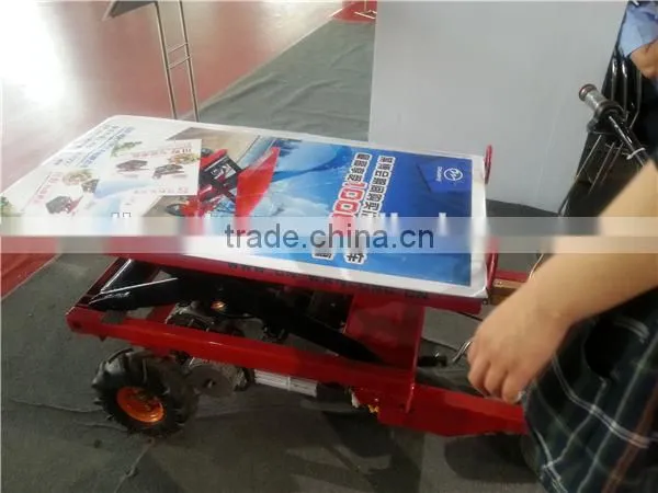 650W farm electric cargo box tricycle/ liftable and lowerable