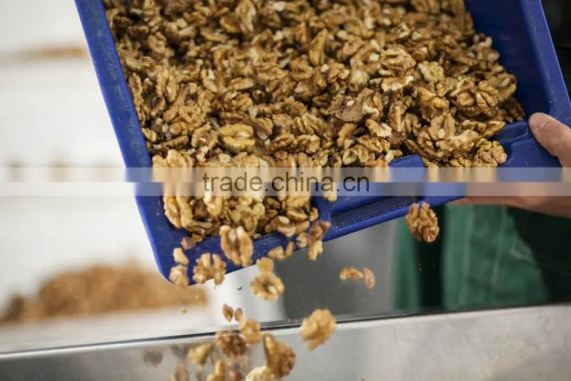 Walnut kernel Multiple layer continuous type mesh belt dryer