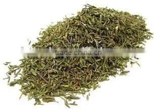 Thyme Multiple layer continuous type mesh belt dryer