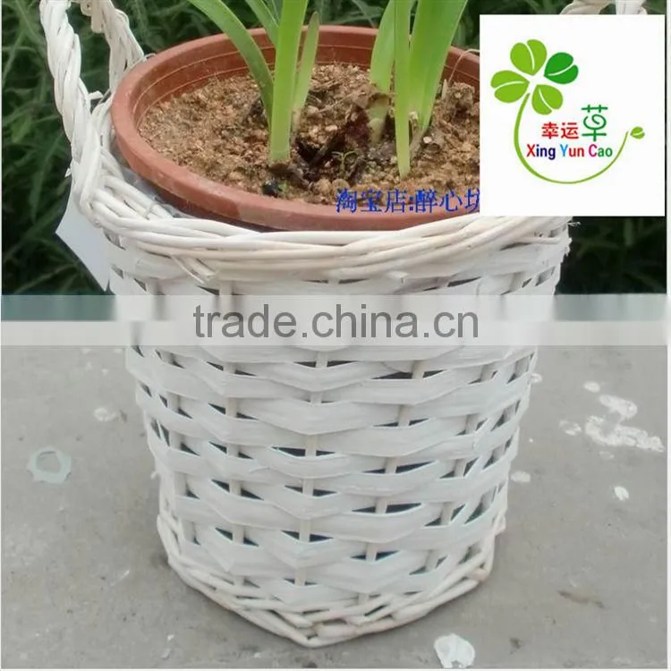 2013 lated new design Wicker cup