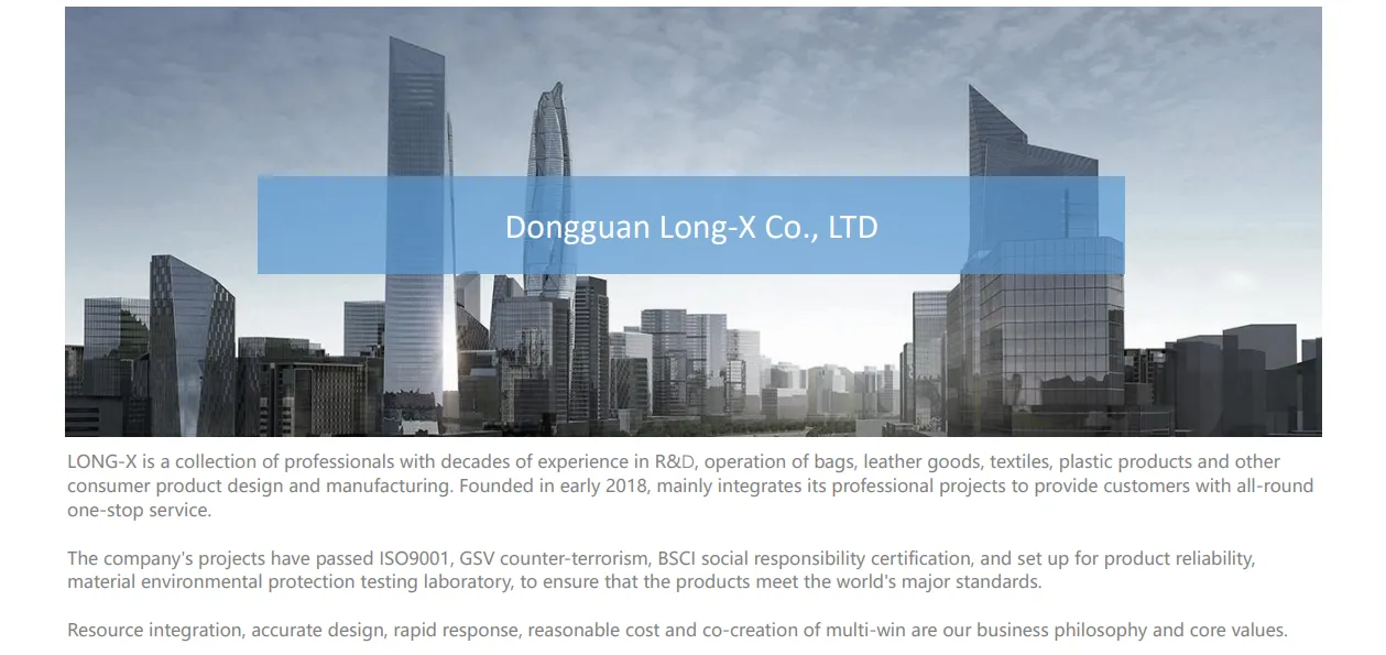 Dongguan LONG-X Co., LTD company overview - view 1