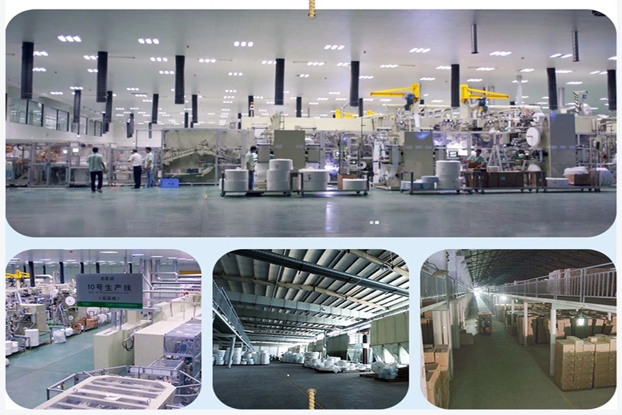 Quanzhou Coach Hygiene Products CO.,LTD company overview - view 2