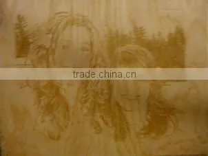 Laser engraving machine /Laser engraver machine