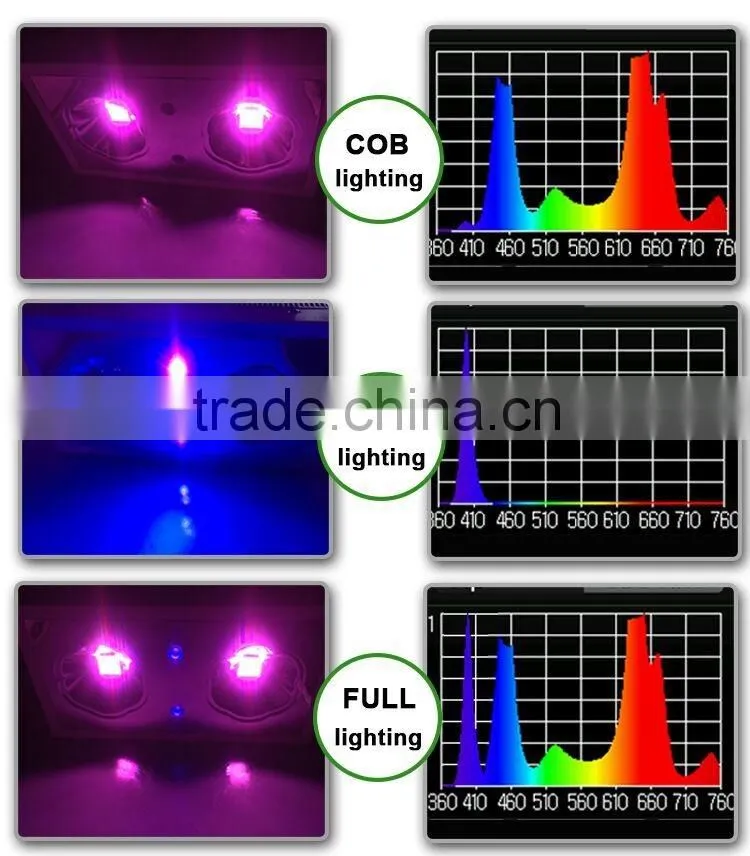 Hydroponic grow systems dropship succulent plants COB LED grow light