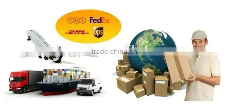 6W Best Price Tempered Glass laminated Solar Panels module
