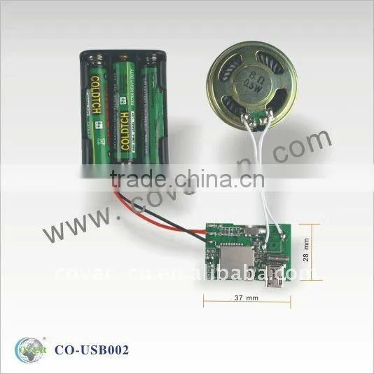 Chip Programmable sound modules for greeting cards and sound box