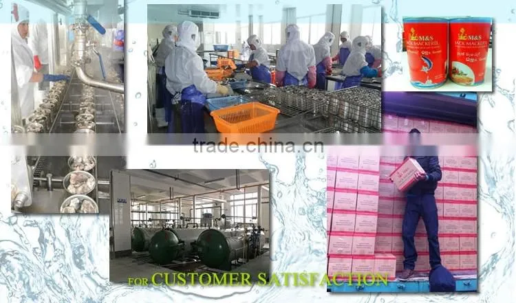 CANNED MACKEREL IN BRINE RI LANKA SLSI CFR LC 30/60 DAYS 425g/280g 425/285g Sardine Tuna (SKYPE:ste.nanking)