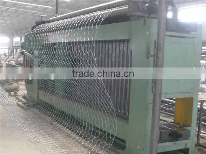Gabion Boxes/Gabion mesh