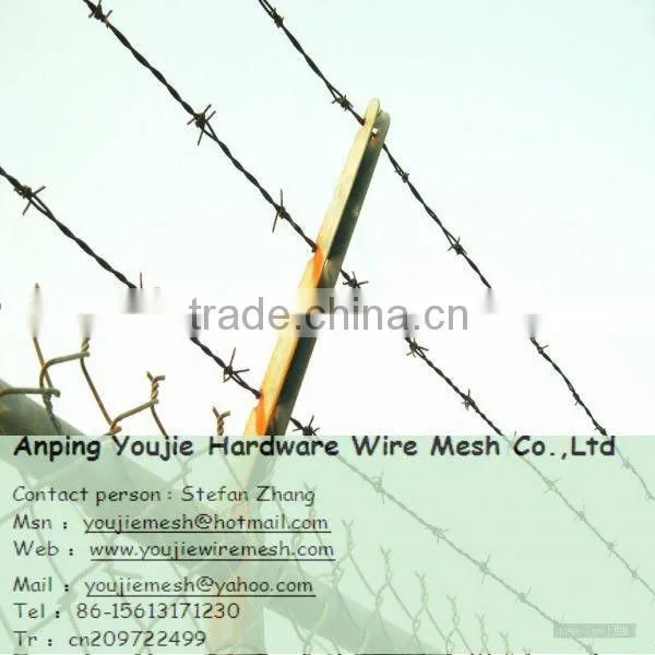 Hot / electro galvanized barbed wire (factory)