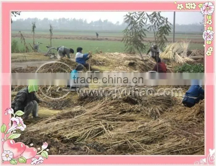 Wholesale Natural Wicker Baby basket