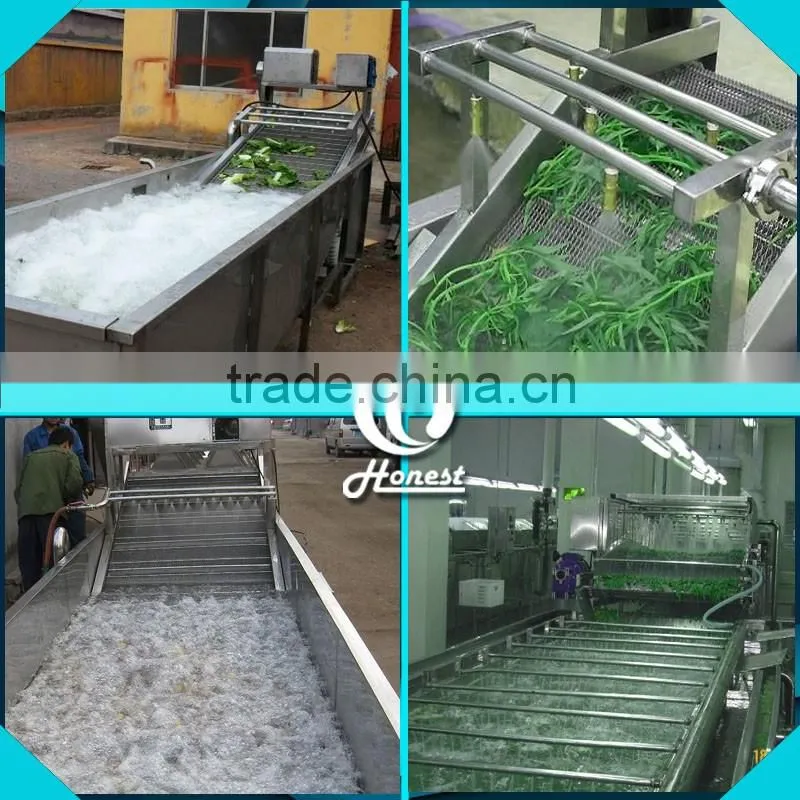 5.3KW automatic vegetable washing machine