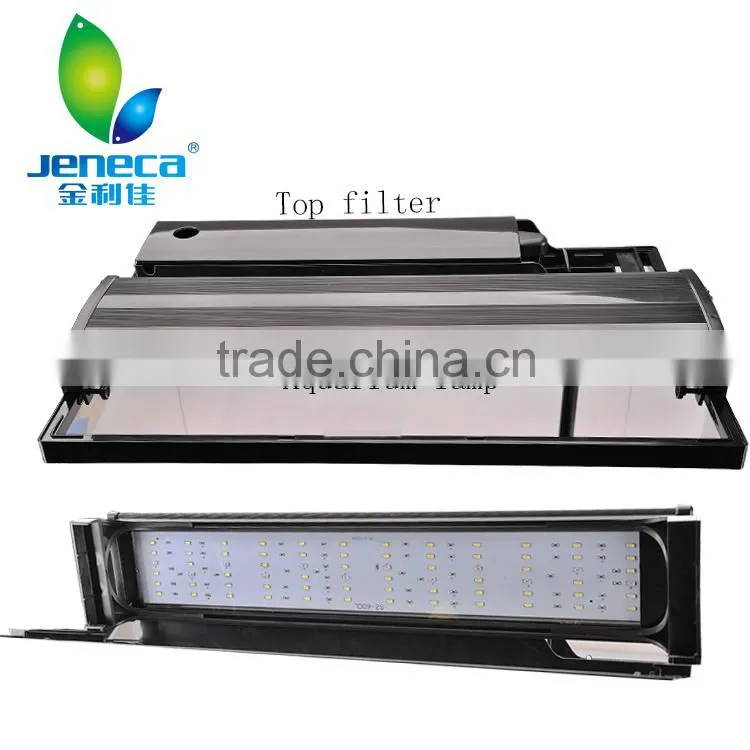 Aquarium Fish Tank