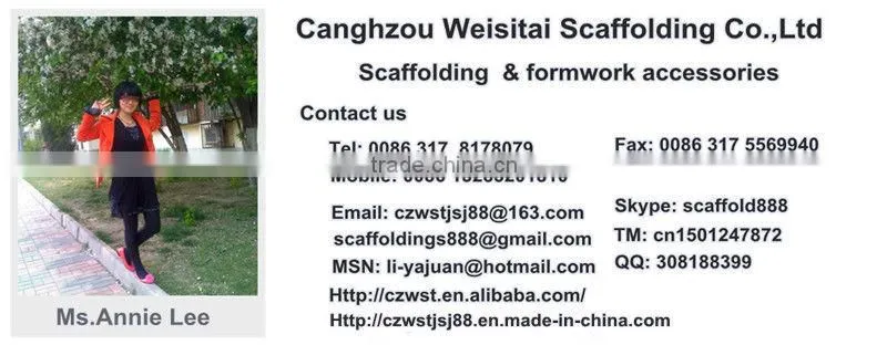 Formwork Wedge Clamp/Rapid Wedge Clamp/Blue Painted Wedge