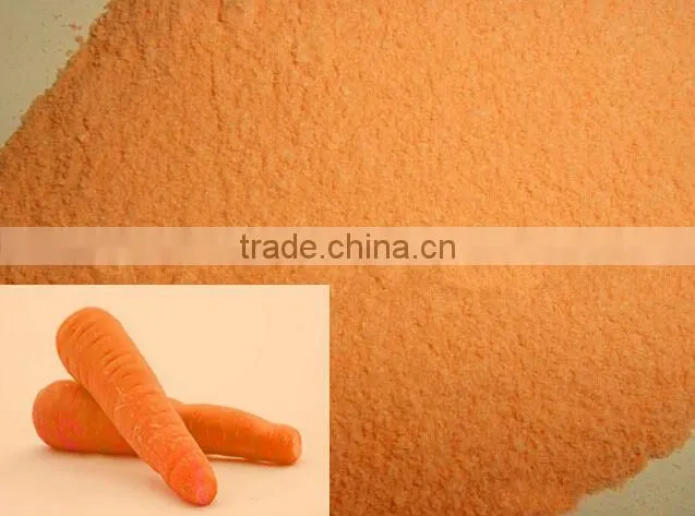 TTN Freeze Dried Vegetables Powder Dried Carrot Powder