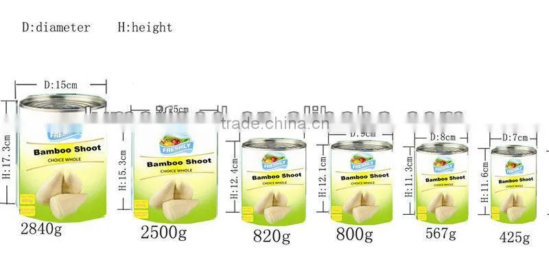 567g Canned Bamboo Shoot Whole