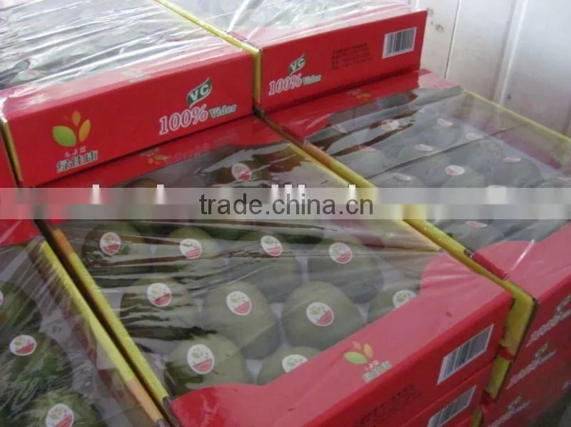 Sweet Fresh Kiwi Fruits Hot Sale