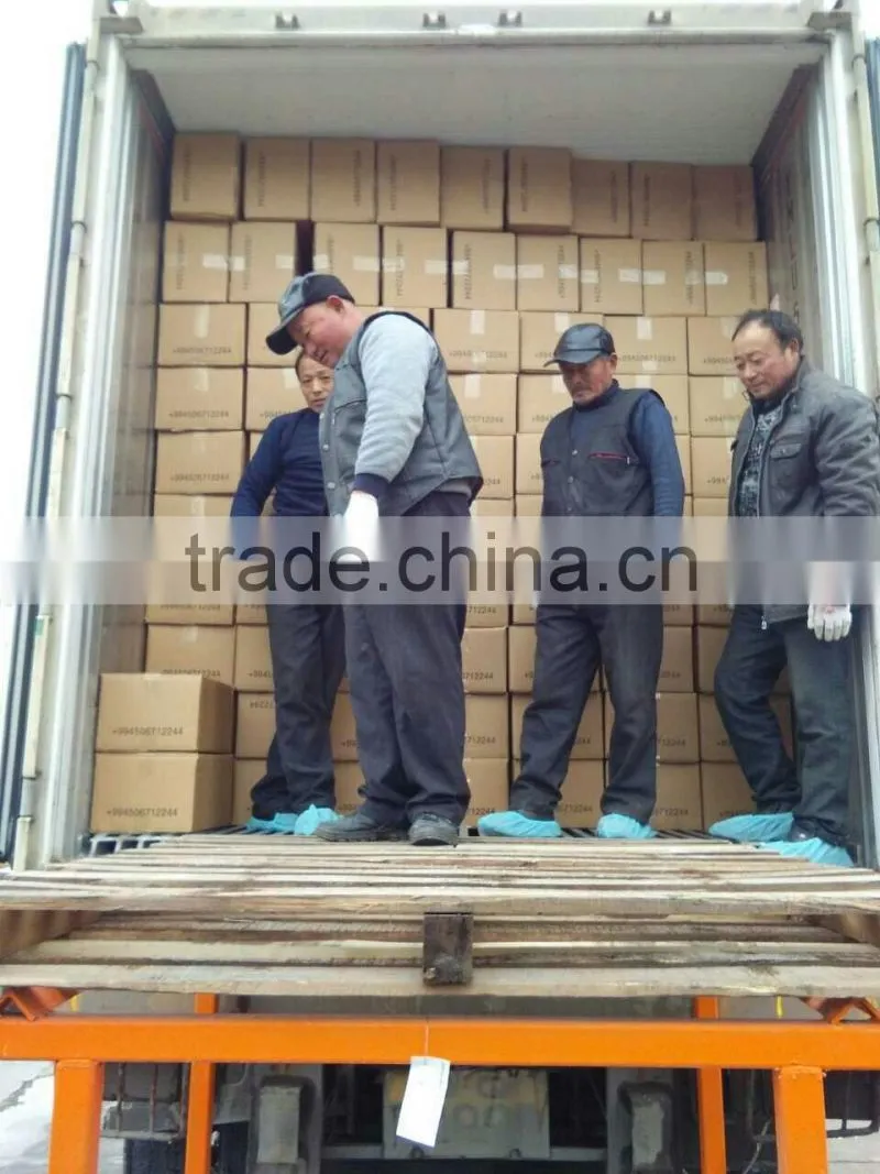 Supplier of peeled chestnut from Shandong export to all market