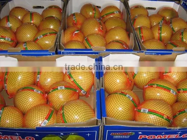 china sweet honey pomelo