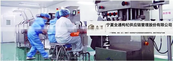 GOJI BERRIES----best quality ! --CCTV1