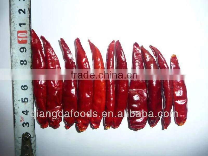 Whole Sale Bulk Spice Bird's Eye Chilli