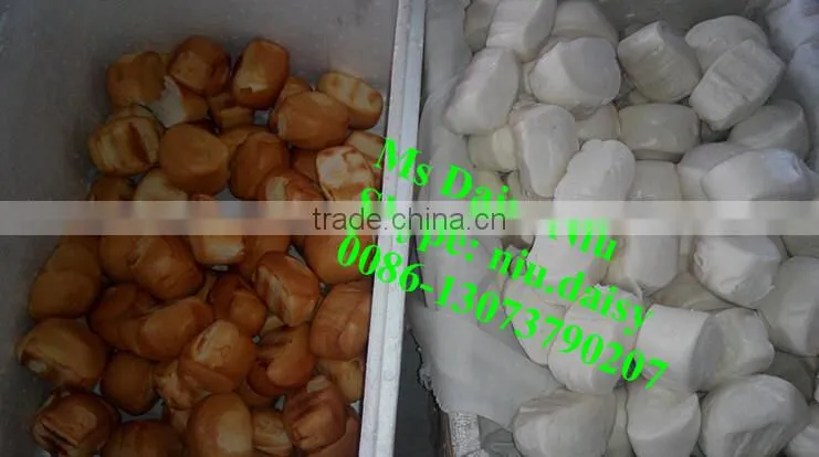 commercial bread bun baking machine/fortune cookies baking equipment/croissant bread roll baking oven
