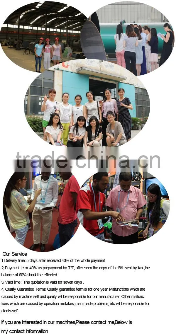 CE Approved Series Pellet Machine/Biomass Pellet Machine on Sale
