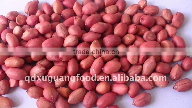 peanut kernels 24/28 & blanched peanut kernels 25/29