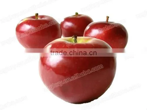 CE Approved High Capacity Automatic Apple Peeler Machine, Pear Peeler Machine