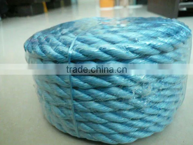 pp danline rope