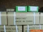 hot dipped galvanized flat head nails