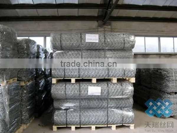 PVC coated galvanized Hexagonal Wire Netting /hexagonal wire mesh