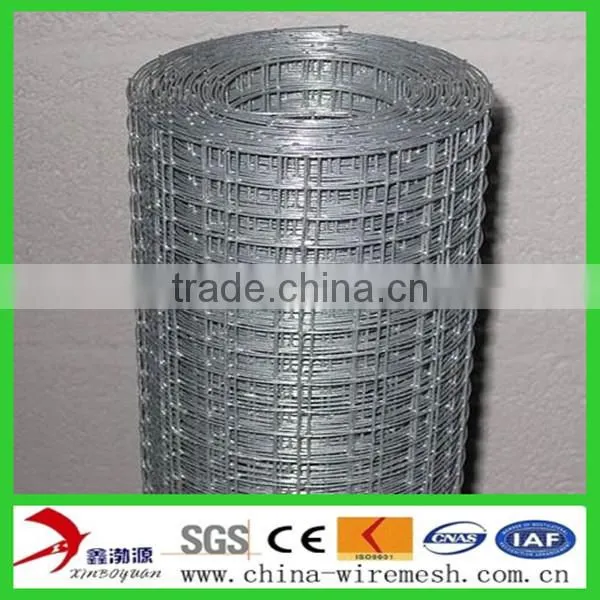 welded wire mesh 25X25 mm Plain Weave Weave Style and Welded Mesh Technique wire mesh
