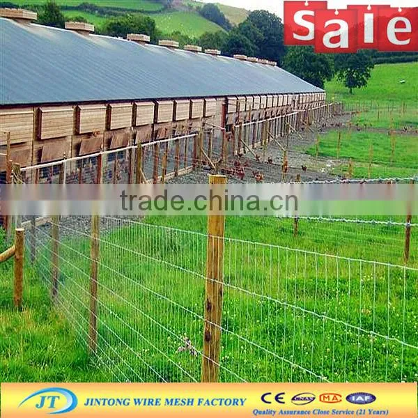 heavy duty galvanized mesh diamond mesh horse fencing from china