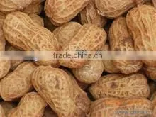 hot sale peanut sheller machine with high efficience