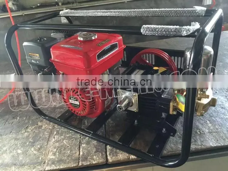 Portable/Trolley/Frame 6.5HP Gasoline Engine Power Sprayer For Agricutural Irrigation