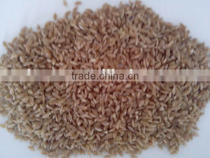 Artificial Rice Powder Processing Machine