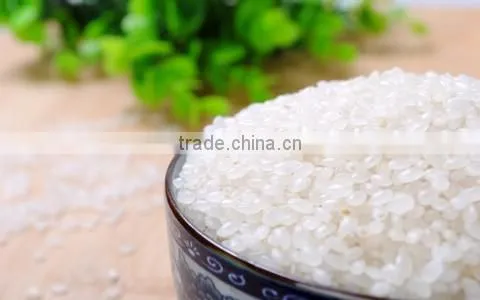 Paddy cleaning, husking machine for clean bright white rice