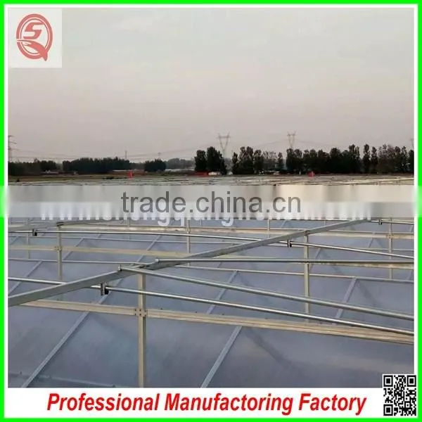 Hot sale 12m multi-span glass greenhouse grow tent for vegetables