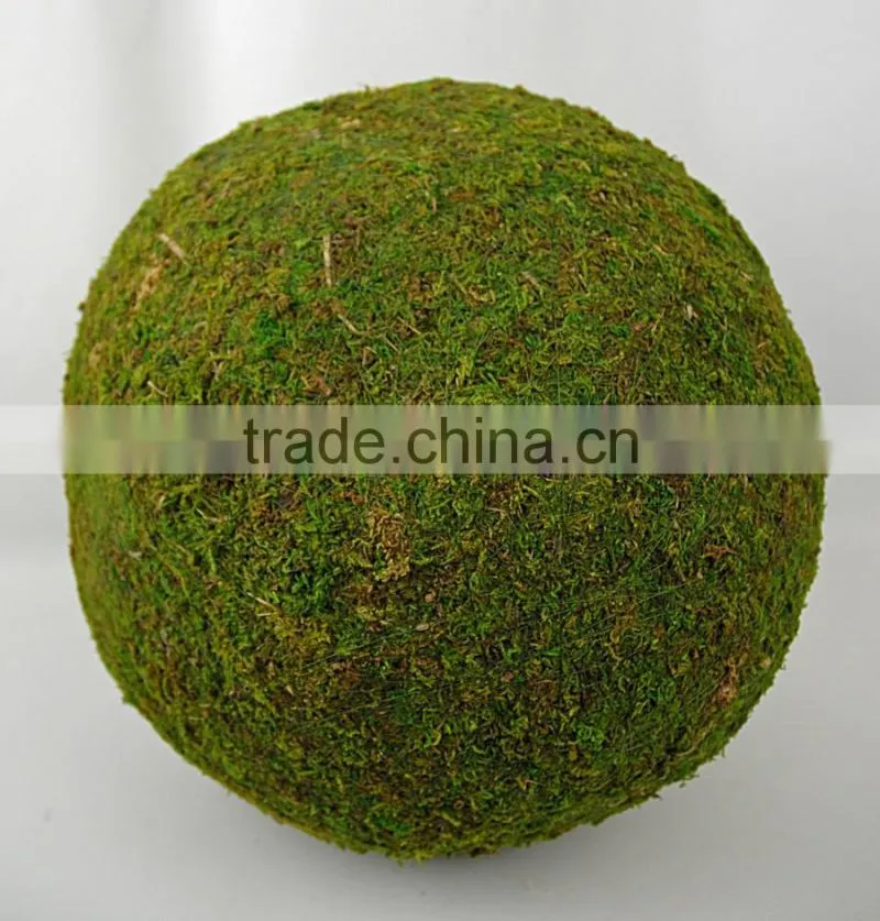 Handicraft Moss Ball