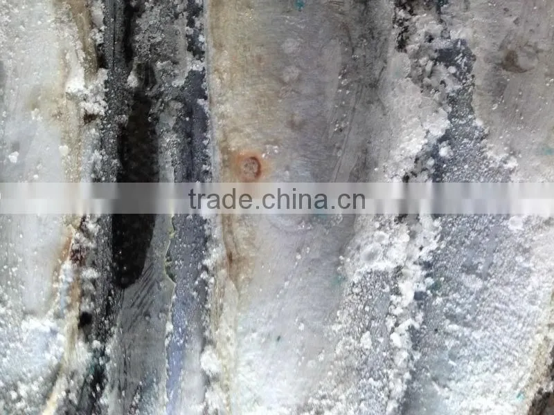 frozen pacific saury #3 and big size