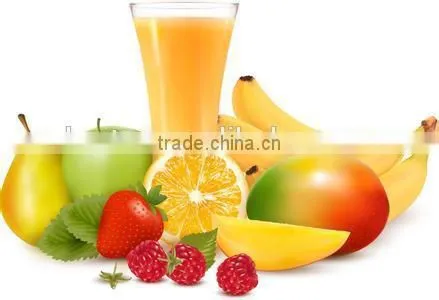 manual professional hand juice extractor