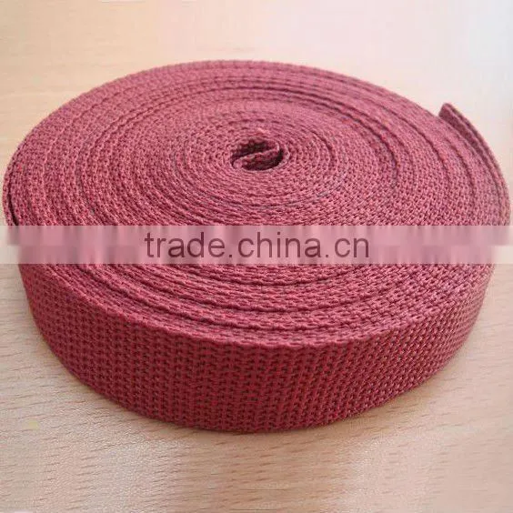 PP Nyon Webbing Leashes