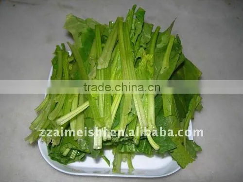 2013 Multifunction Industrial vegetable cutter